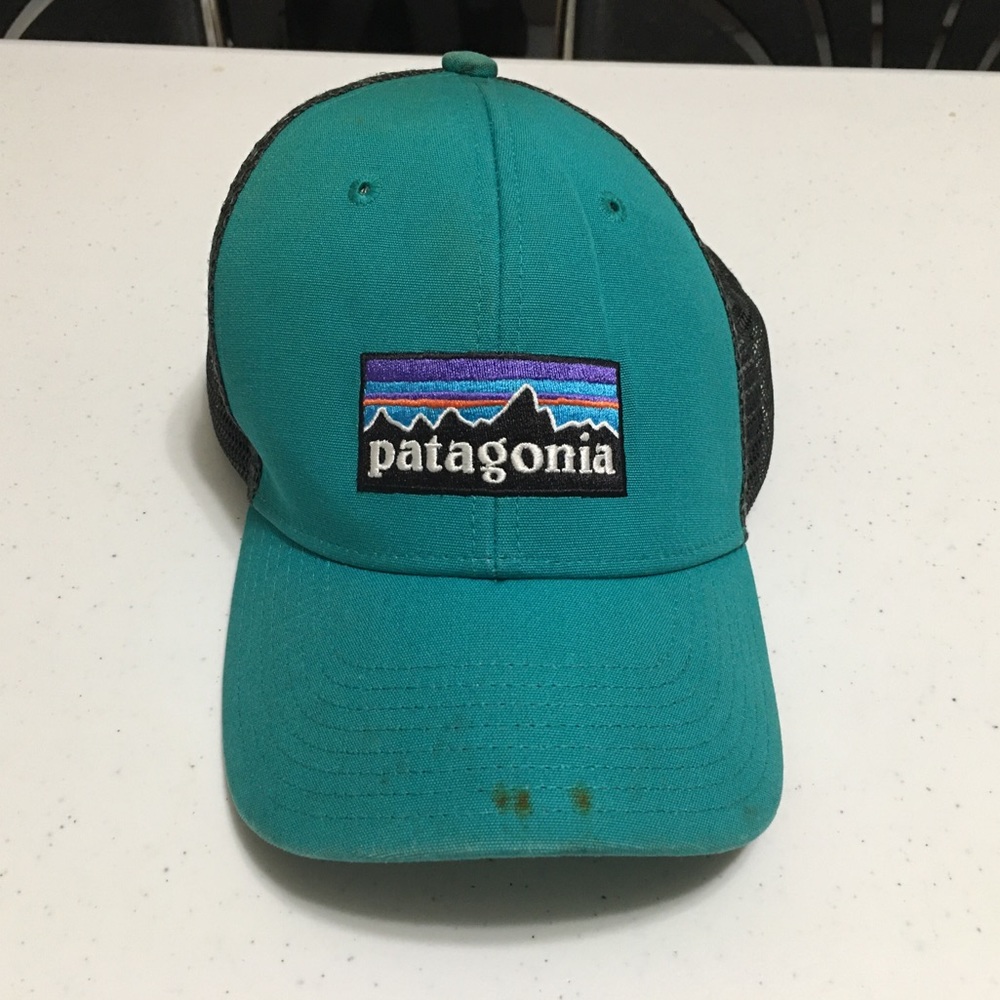Patagonia trucker hat